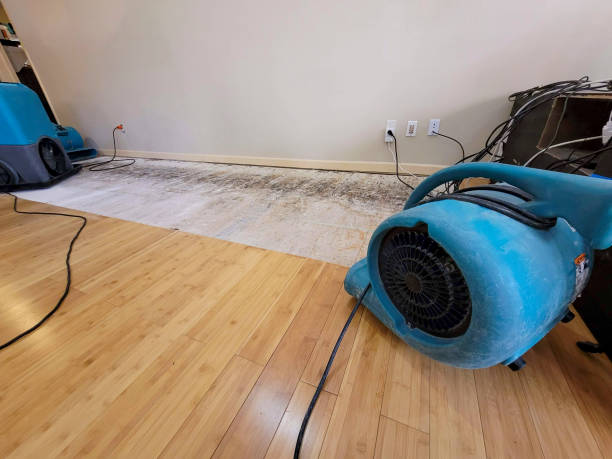 Professional Burst Pipe Water Damage technician working in Monongahela, PA